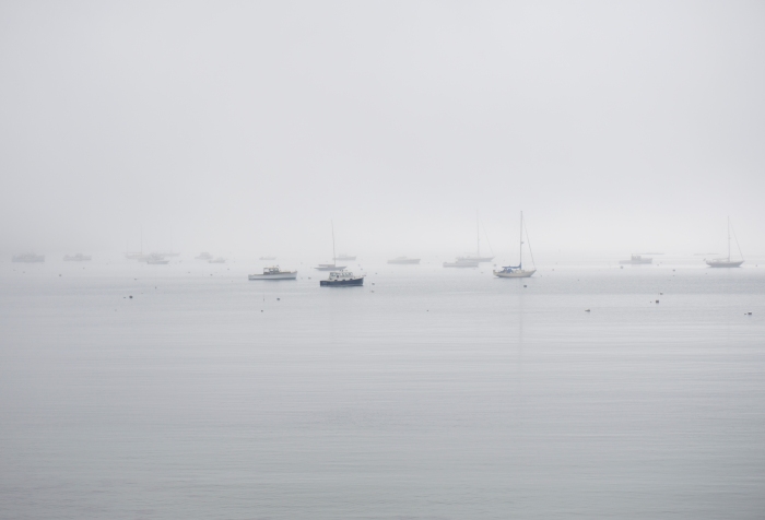 Seal Harbor on a foggy day
